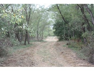 Property photo 62 - 419 +/- Acres offered in 6 Tracts, Land Auction